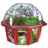 Fairy Garden Kits: Triad Dome Terrarium   563214234